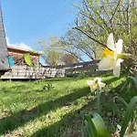 Apartment Berg Welt Im Erzgebirge *