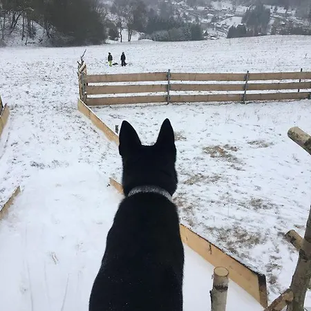 Berg Welt Im Erzgebirge 마리엔스베르크