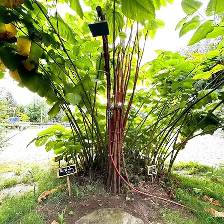 Berg Welt Im Erzgebirge 마리엔스베르크
