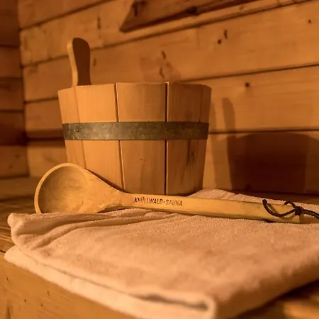 Berg Welt Im Erzgebirge 마리엔스베르크