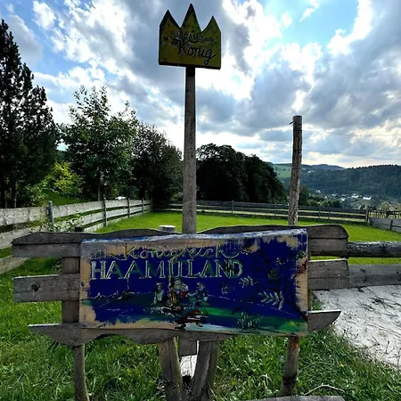 Berg Welt Im Erzgebirge 아파트