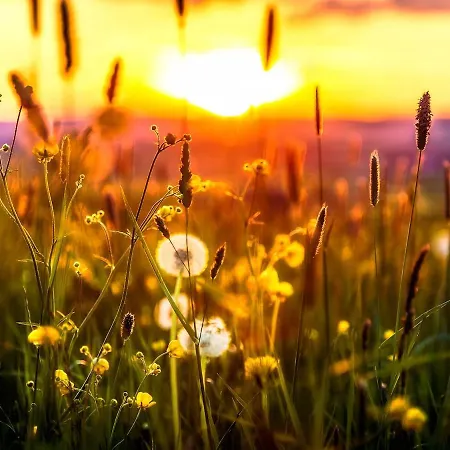 Berg Welt Im Erzgebirge 아파트 마리엔스베르크