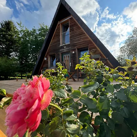 Berg Welt Im Erzgebirge * 마리엔스베르크