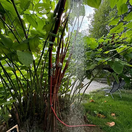 Berg Welt Im Erzgebirge * 마리엔스베르크