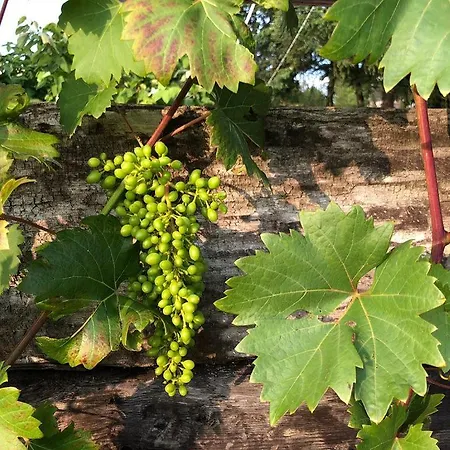 Berg Welt Im Erzgebirge