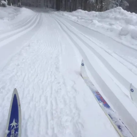 Berg Welt Im Erzgebirge 아파트 마리엔스베르크