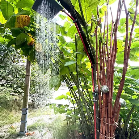 Berg Welt Im Erzgebirge 아파트 마리엔스베르크