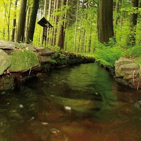 아파트 Berg Welt Im Erzgebirge 마리엔스베르크