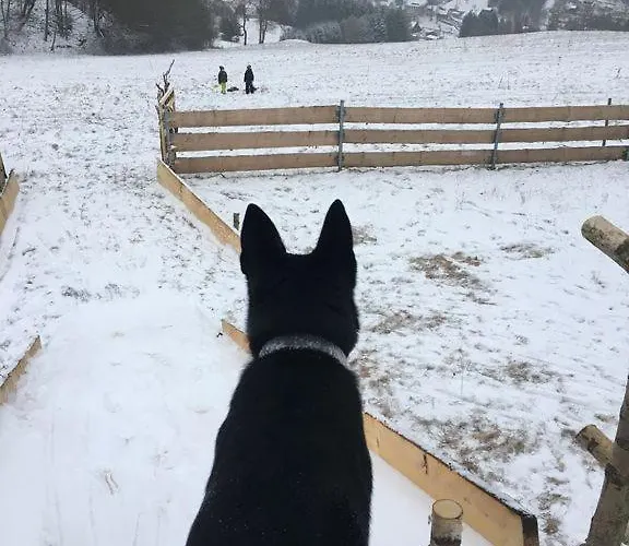 Berg Welt Im Erzgebirge Marienberg
