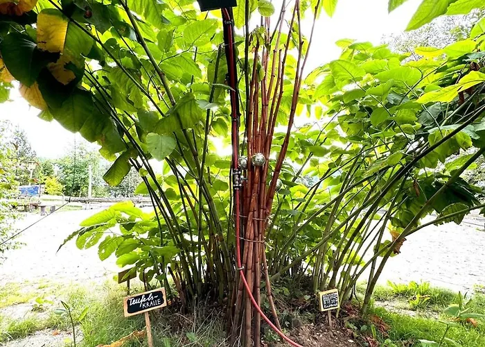 Berg Welt Im Erzgebirge Marienberg