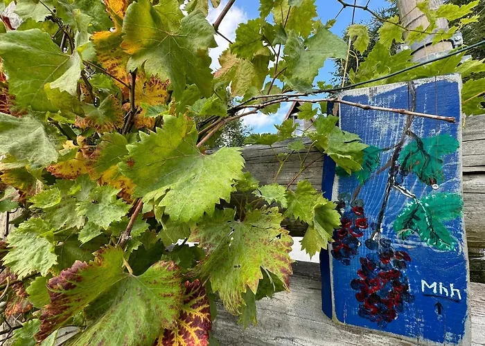 Apartmán Berg Welt Im Erzgebirge