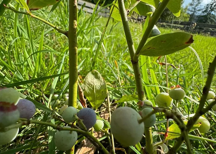 Berg Welt Im Erzgebirge