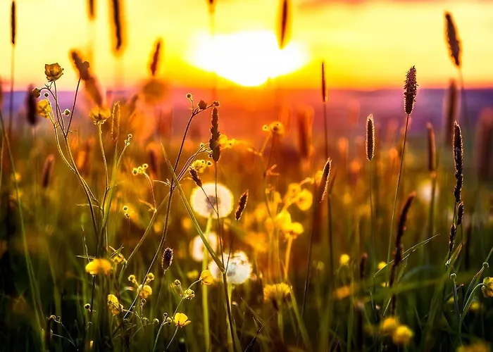 Berg Welt Im Erzgebirge Apartmán Marienberg