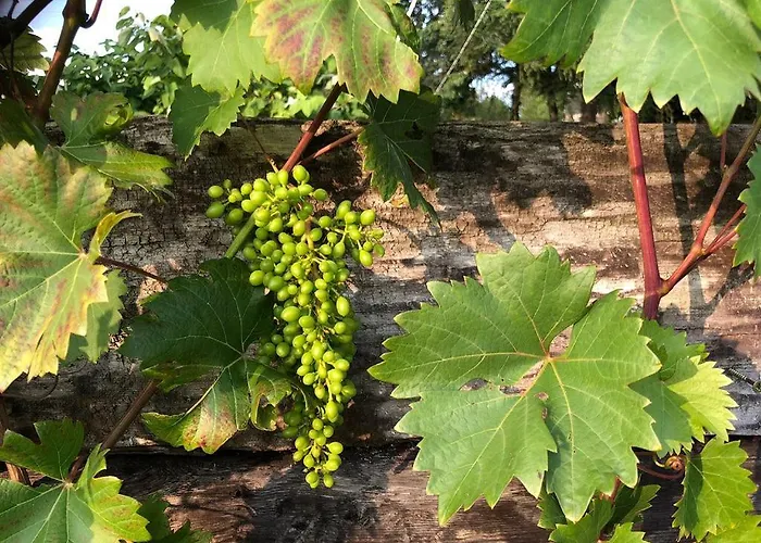 Berg Welt Im Erzgebirge