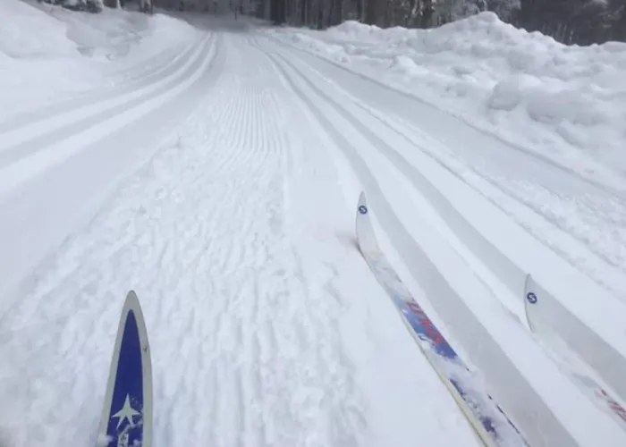 Berg Welt Im Erzgebirge Apartmán Marienberg