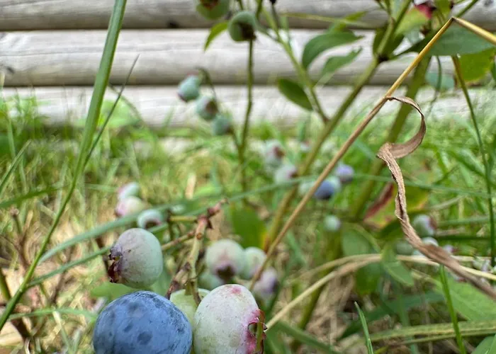 Berg Welt Im Erzgebirge Marienberg